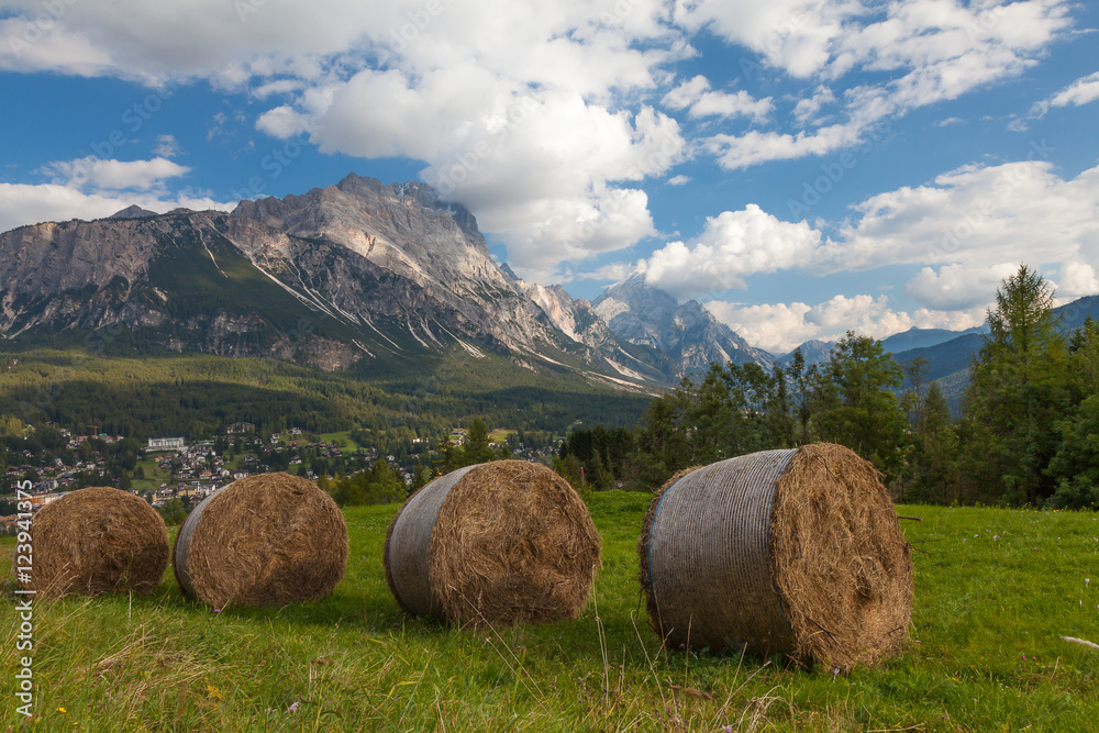Hay meadows in rolls, Italy