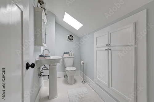 Half bathroom interior with skylight in the attic