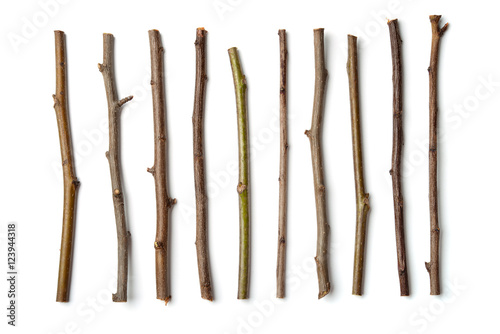 Obraz na plátně Row of dry wooden twigs