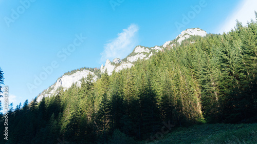 View of a Koscielisko Valley in polish Tatras Poland.