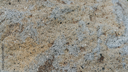 Stone texture background. Pieniny andesite make an edgy, yet earthy background for any project.