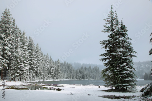 Todd lake in a snowy day on June © estivillml