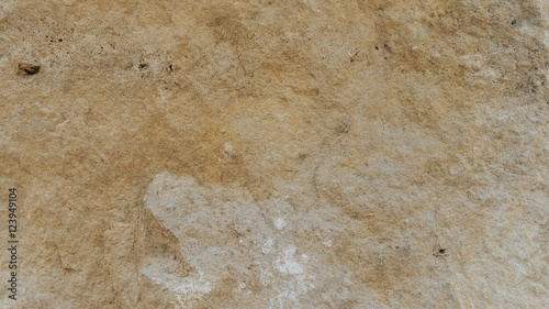 Diplopora Dolomite Rock Layers. Pen for scale usable as texture or background