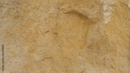 Diplopora Dolomite Rock Layers. Pen for scale usable as texture or background