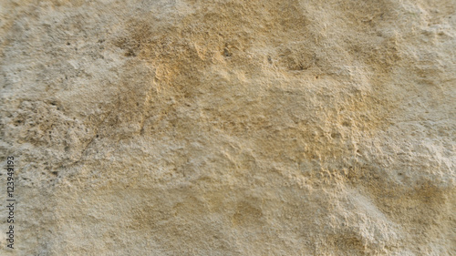 Diplopora Dolomite Rock Layers. Pen for scale usable as texture or background