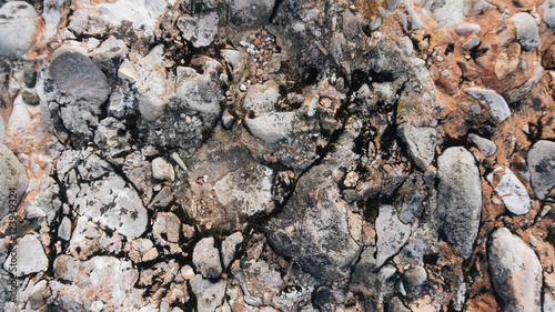 Myslachowice Conglomerate stone usable as texture or background