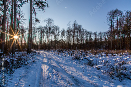 Winter in Lich (Mittelhessen) photo