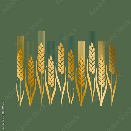 wheat vector illustration in Art Nouveau style