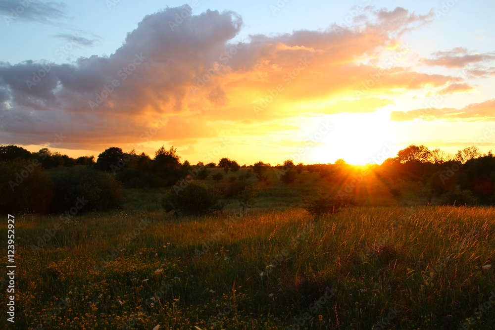 Evening landscape at sunset