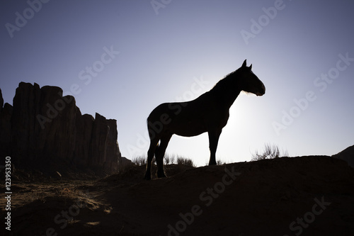 Silhouette of Horse in Monument Valley © TheFotos