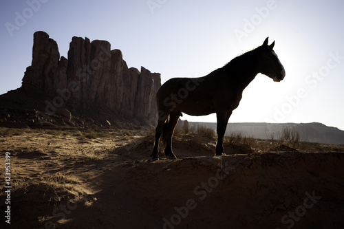 Silhouette of Horse in Monument Valley © TheFotos