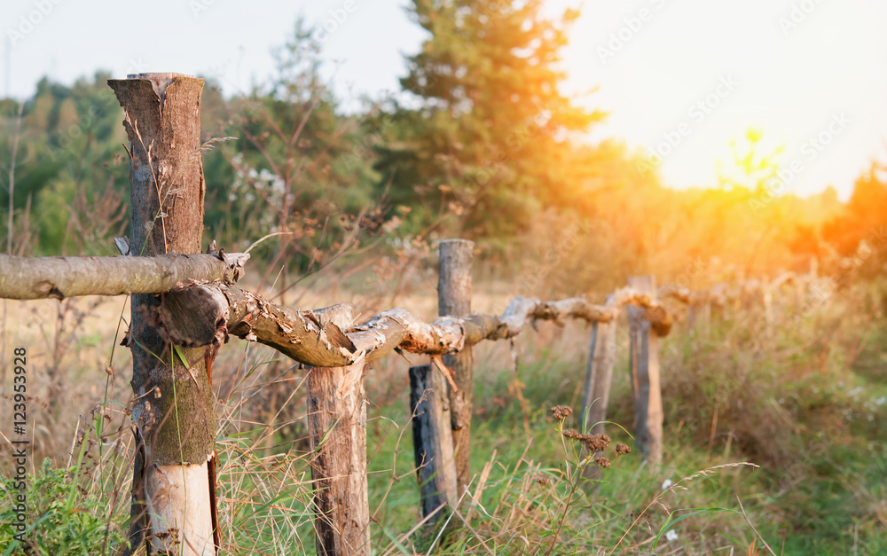fence and farm pasture