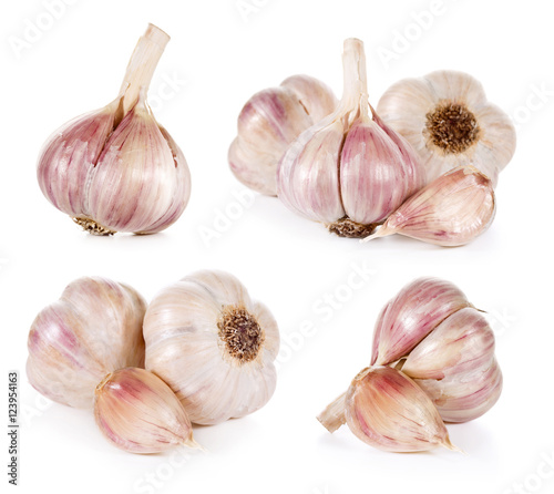 garlic collection isolated