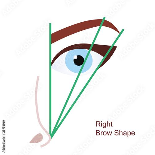 Right brow shape