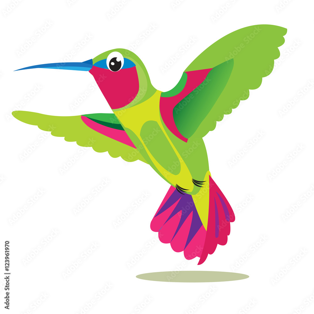 Colibri Bird. Small Colored Bird On A White Background. Hummingbird Bird Picture. Hummingbird Exotic Pet. Hummingbird Exotic Bird.