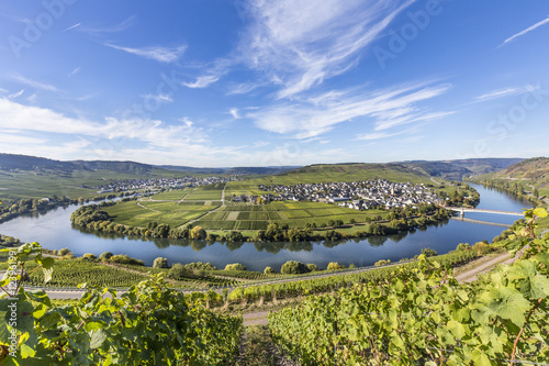 Famous Moselle river loop in Trittenheim 