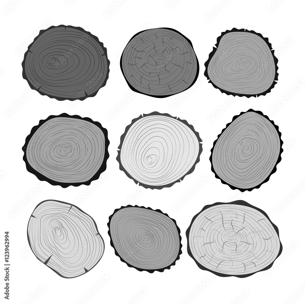 Tree slices vector isolated Tree slices vector isolated