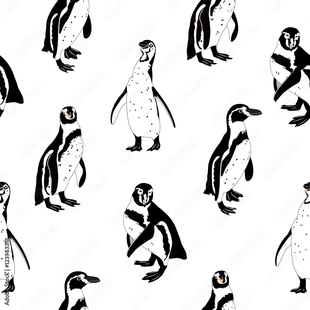 Fototapeta premium Black and white penguins. Seamless pattern, isolated on white background