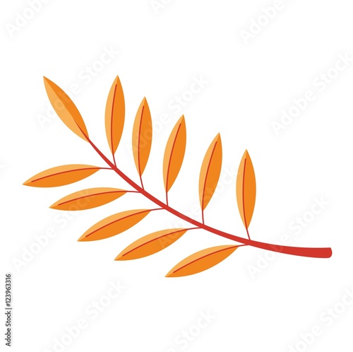 autumn leaf vector illustration.