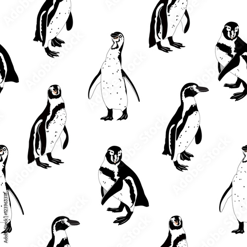 Black and white penguins. Seamless pattern, isolated on white background