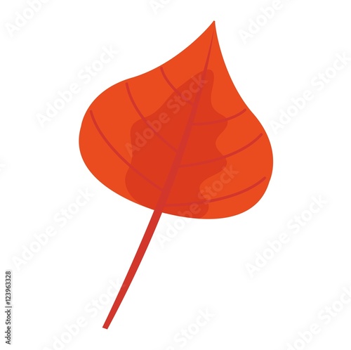 autumn leaf vector illustration.