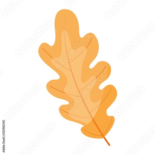 autumn leaf vector illustration.
