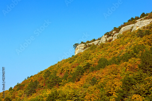 Autumn landscape. Mountain slope. Blue sky