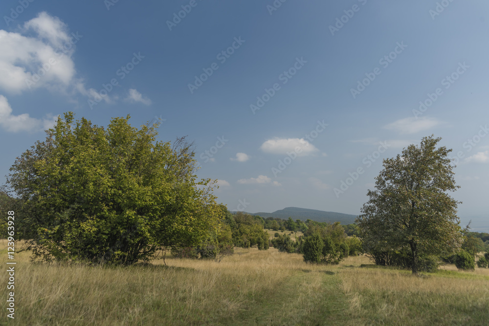 Slovakia karst in summer hot day