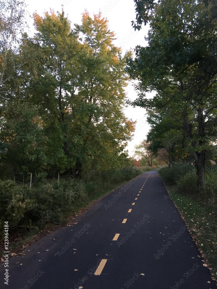 Fototapeta premium BikePath3