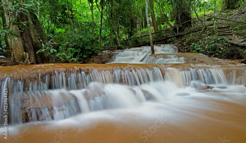 waterfall in green forest