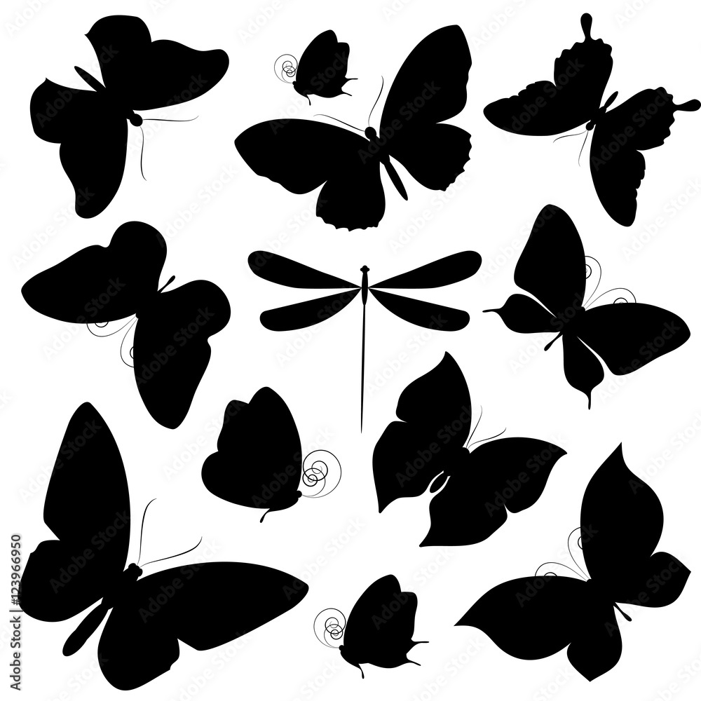 Fototapeta premium black butterflies,isolated on a white
