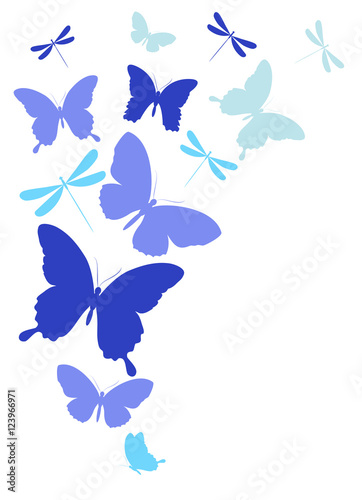 color butterflies isolated on a white