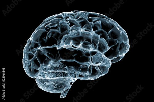 cerebro cristal photo