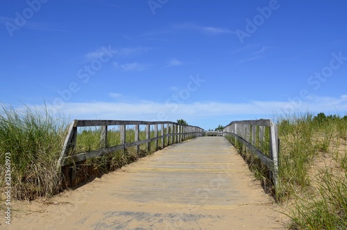 Boardwalk trail to the beach and waterfront that will protect the local vegetation from damage