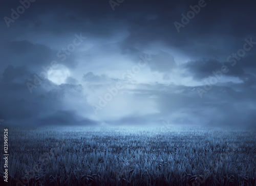 Fog surrounds meadow at night