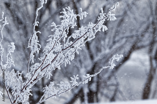 真冬の凍りついた風景 © mannpuku