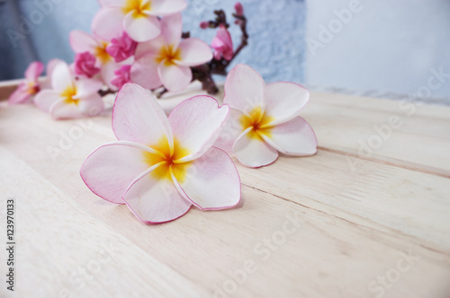Frangipani flower decorated on wooden floor 