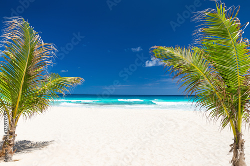 Fototapeta Naklejka Na Ścianę i Meble -  Perfect caribbean beach