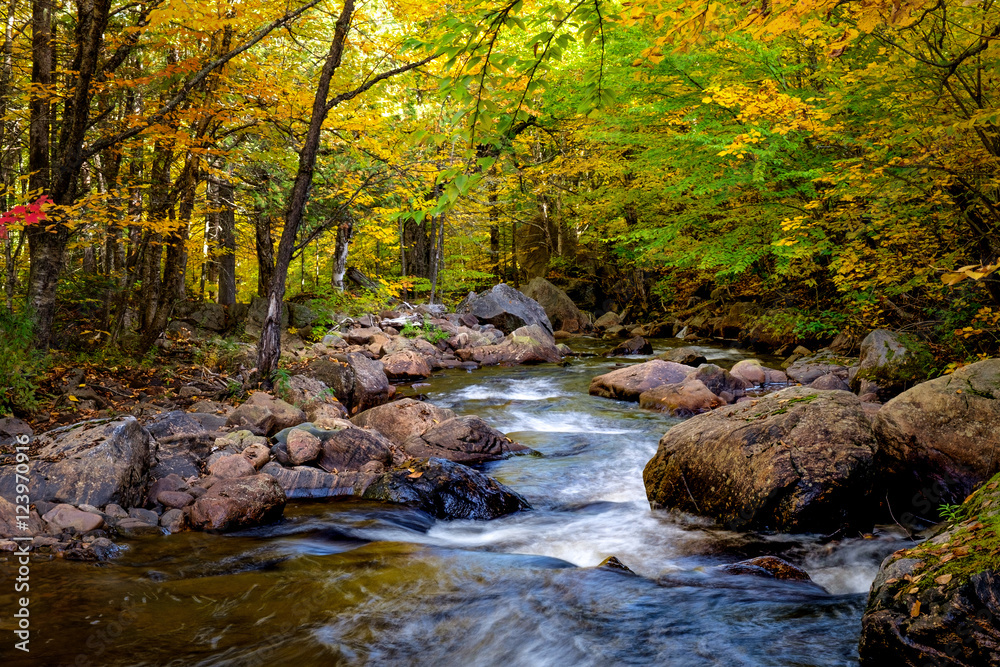 Stream between rocks at fall