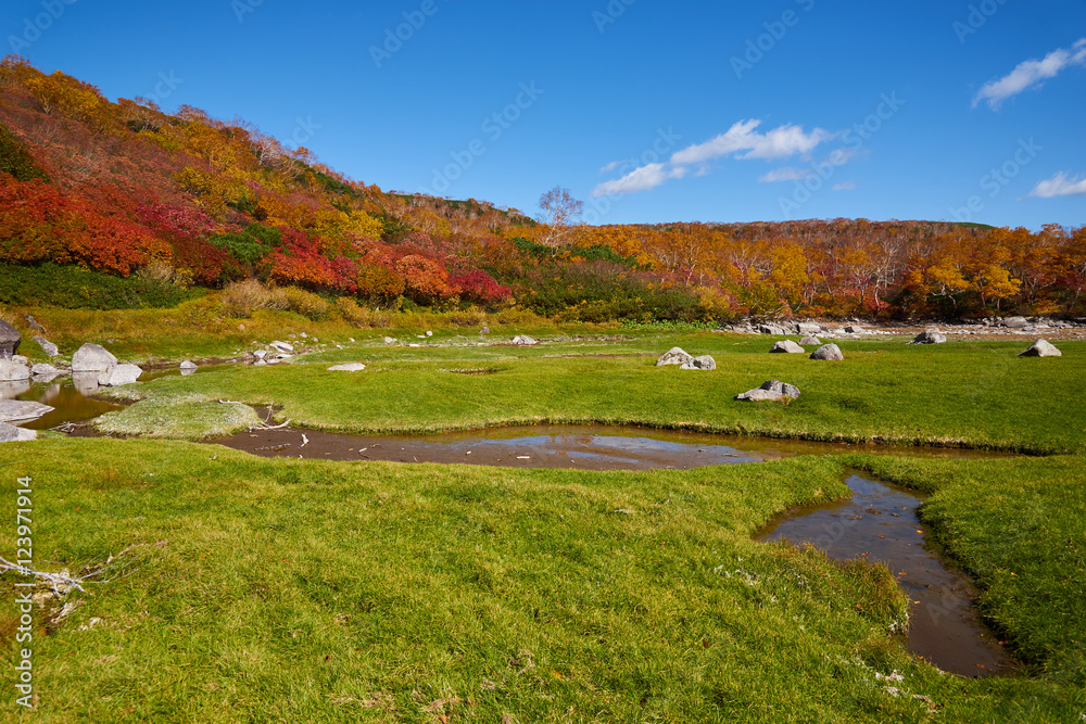 Obraz premium 大雪高原温泉 沼めぐり 空沼の紅葉