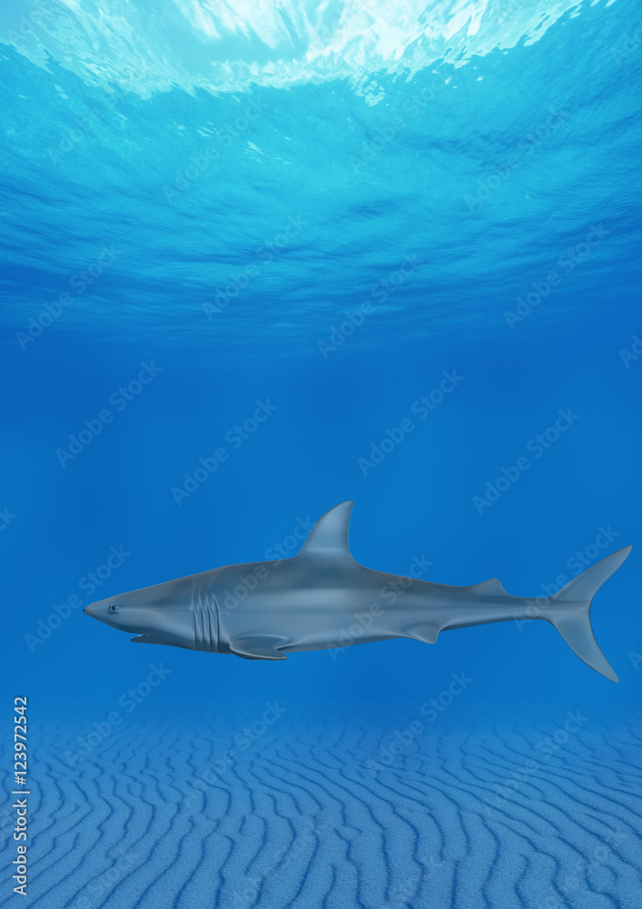 Obraz premium Tubarão no Fundo do Mar