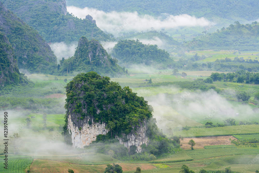 Fototapeta premium Landscpae view of Pu langka (lang ka mountain) with mist in morn