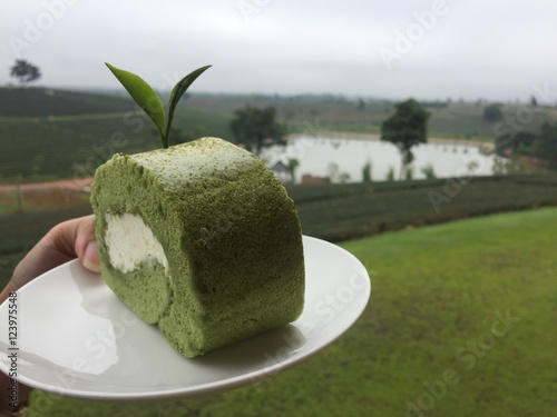 Jam roll green tea in tea farm.