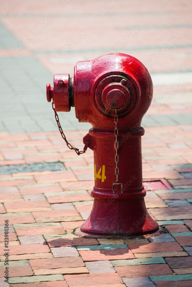 Fototapeta premium red fire hydrant beside the road in town