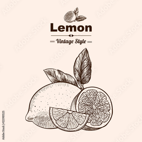 Vector background with  lemon . Hand drawn. Vintage style