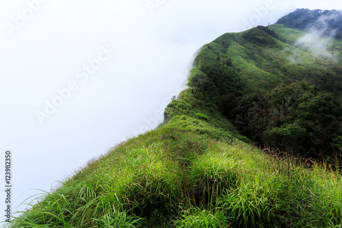 The landscape photo, beautiful sea fog in morning time at the top of mountain, Umphang, Tak province ,Thailand photo