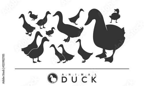 Photographie duck logo siluet illustration