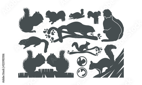 Fototapeta Naklejka Na Ścianę i Meble -  squirrel vector siluet illustration
