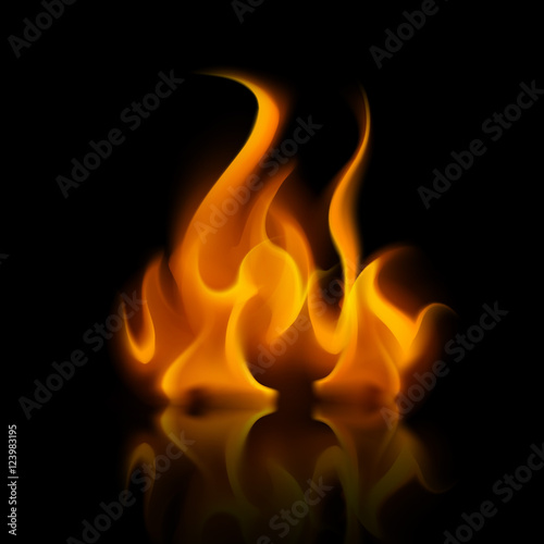 Vector Yellow Orange Fire Flame Bonfire on Background
