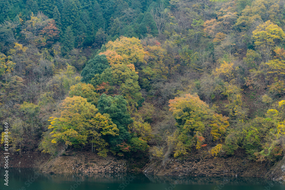 秋の宮ヶ瀬湖
